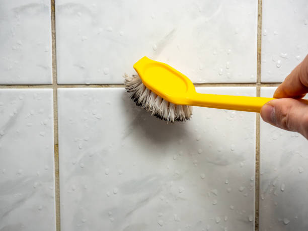 Best Certified Mold Removal  in Laurence Harbor, NJ