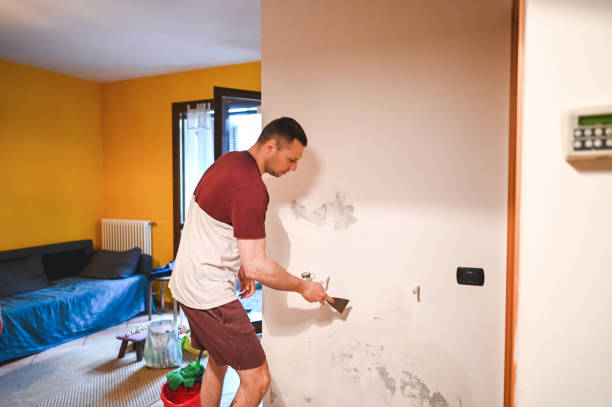 Best Affordable Mold Removal  in Laurence Harbor, NJ